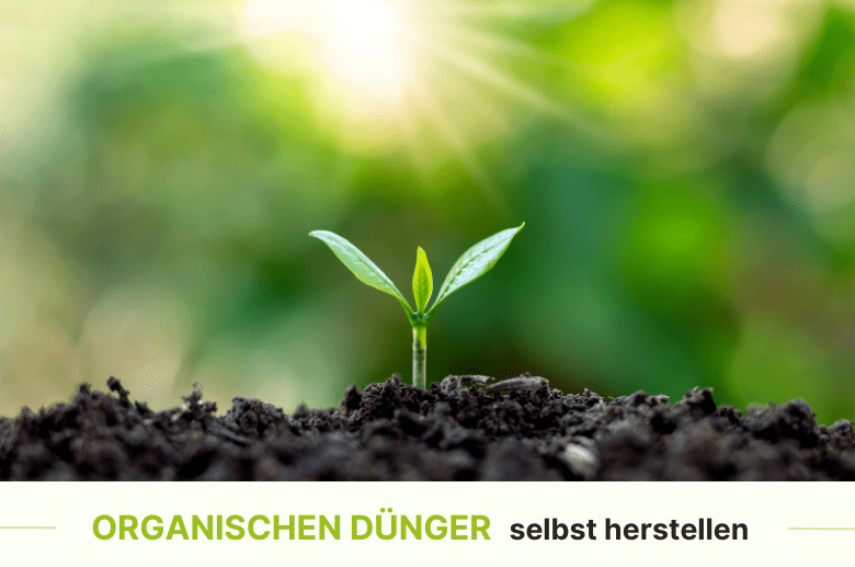 Dnger selbst herstellen  Purgrn