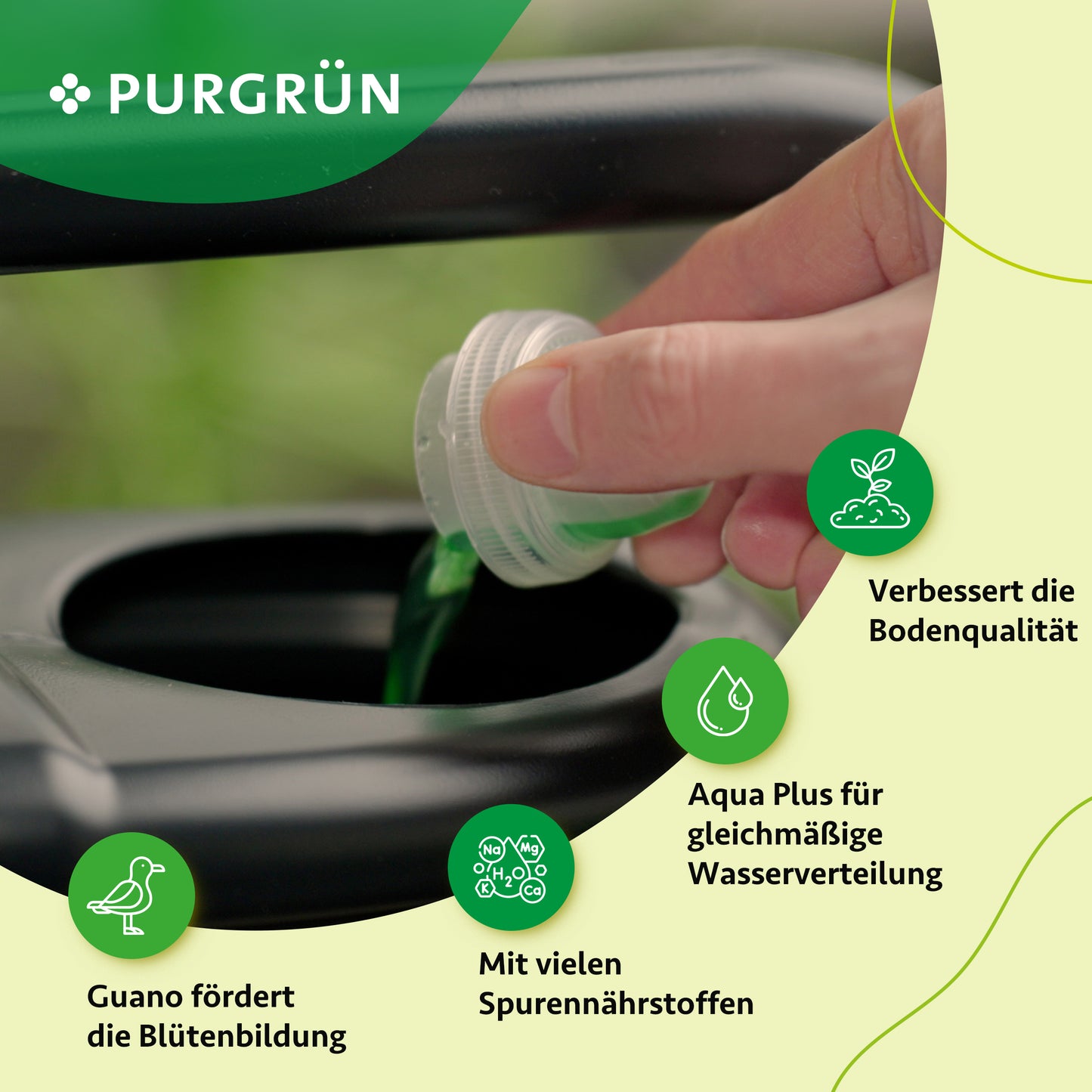 Eine Hand gießt 1 Liter grünen Chrysantheme-Dünger aus einem Verschluss in einen schwarzen Behälter. Das Purgrün-Logo ist zu sehen, zusammen mit deutschen Symbolen, die Vorteile wie bessere Bodenqualität und mehr Mikronährstoffe hervorheben.