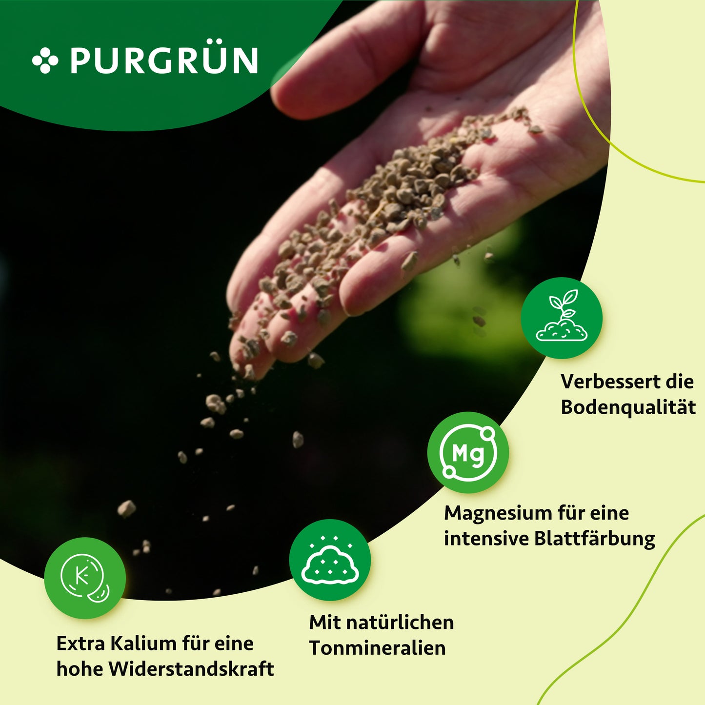 Eine Hand streut 1 kg Purgrün Ahorn-Dünger auf den Boden. Der Text weist auf verbesserte Bodenqualität, zusätzliches Kalium für widerstandsfähige Pflanzen, Magnesium für eine kräftige Blattfarbe und Tonmineralien hin. Das Ahorn-Dünger-Logo erscheint oben.