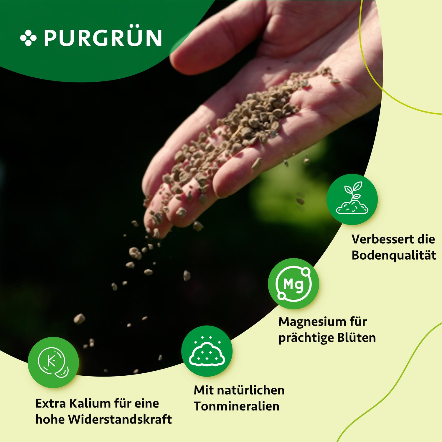 Eine Hand streut Purgrün Rittersporn-Dünger 1 kg, einen organisch-mineralischen Dünger, auf den Boden. Grüne Symbole und deutscher Text zeigen die Vorteile: verbesserte Bodenqualität, stärkeres Blütenwachstum und natürliche Tonmineralien.
