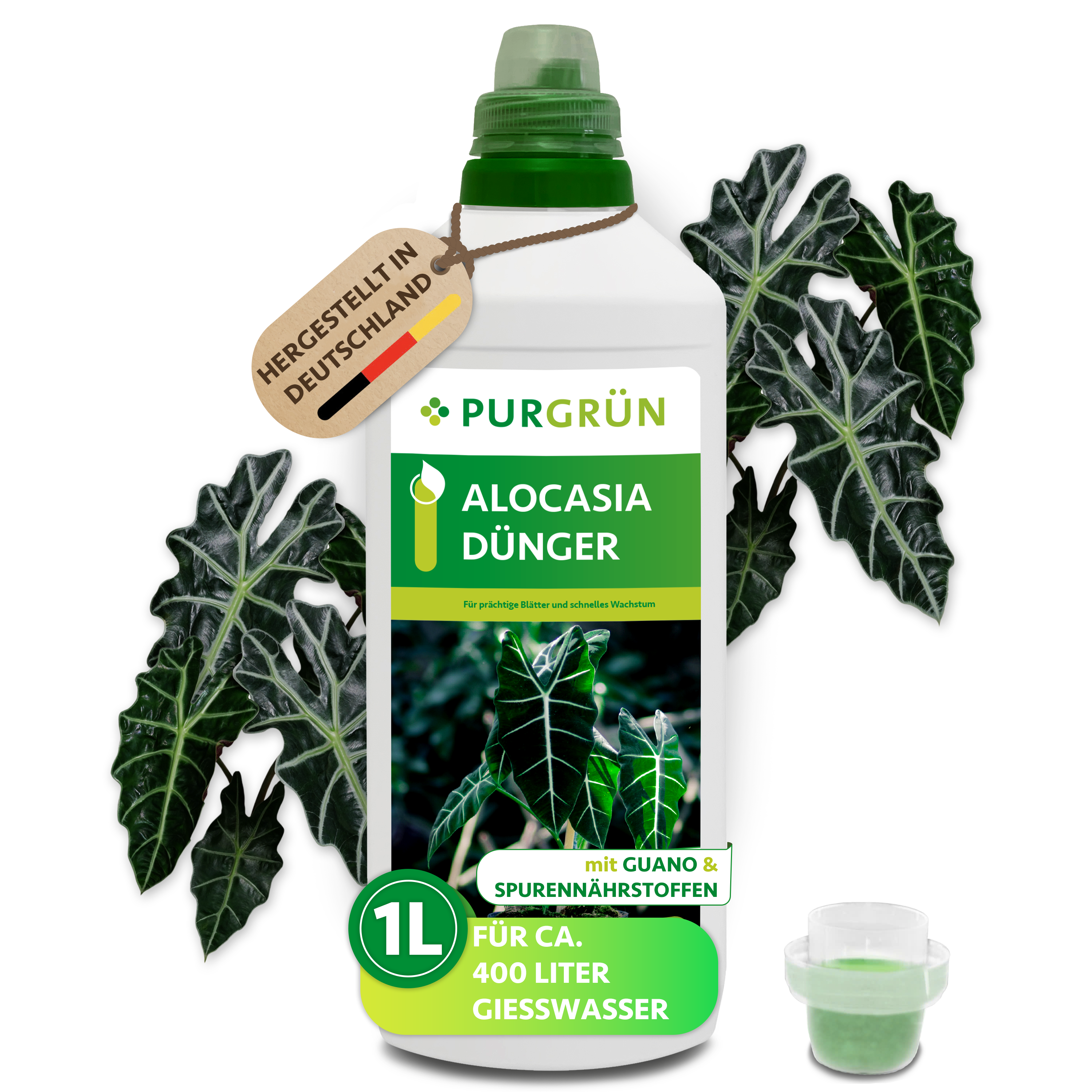 Purgrün Alocasia-Dünger 1 Liter