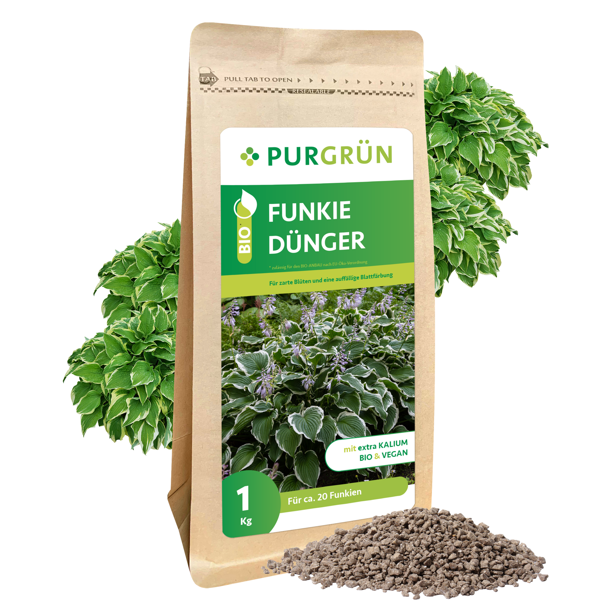Ein 1 kg-Sack Purgrün Bio-Funkie-Dünger, auf dessen Etikett Hosta-Pflanzen (Funkien) abgebildet sind. Neben dem Beutel sind grünes Laub und ein Granulathügel zu sehen.