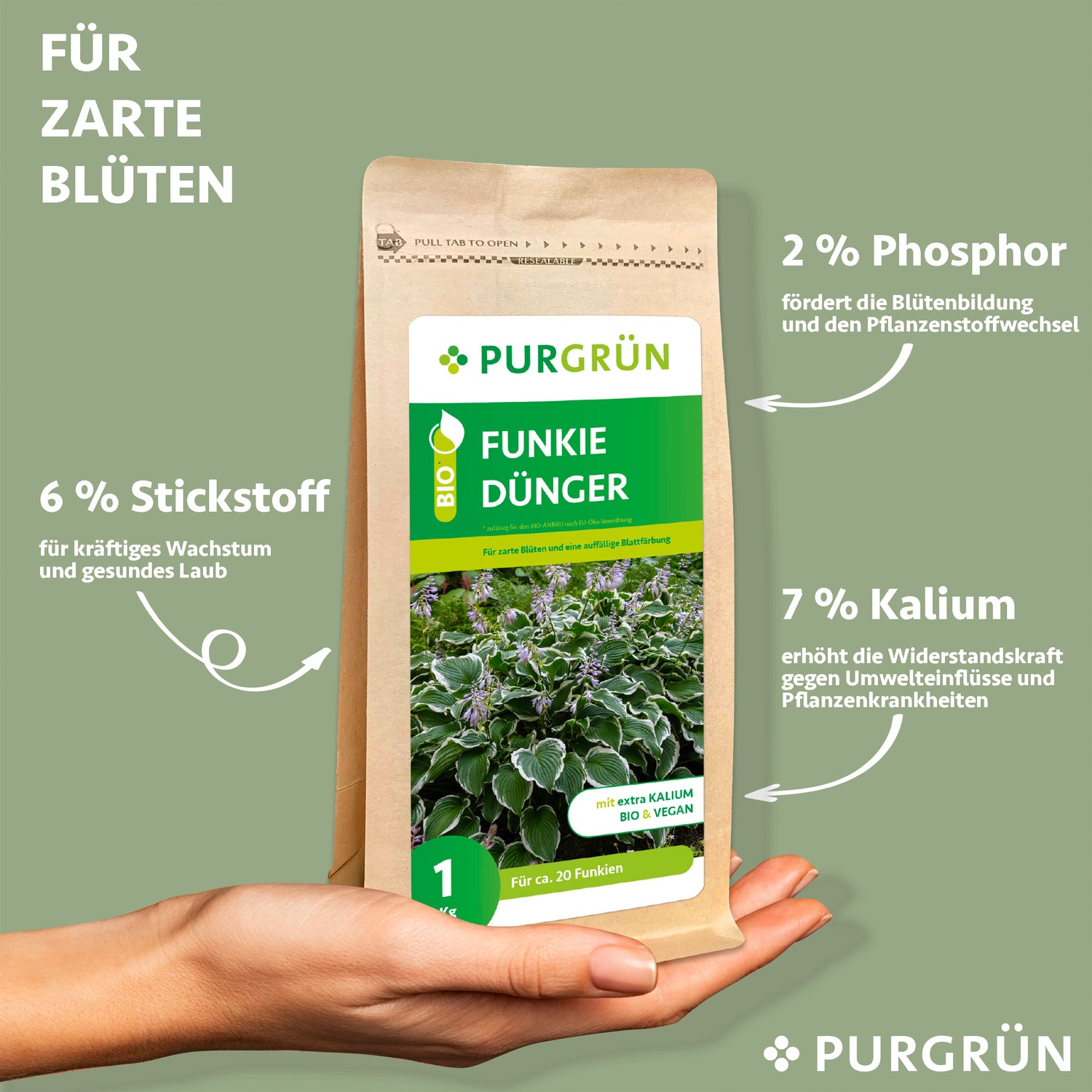 Eine Hand hält eine Purgrün Bio-Funkie-Dünger 1 kg Packung. Der Text hebt die Vorteile hervor: 6% Stickstoff für das Wachstum, 2% Phosphor für die Blüte und 7% Kalium für die Pflanzengesundheit. Hellgrüner Hintergrund mit einfacher Grafik.