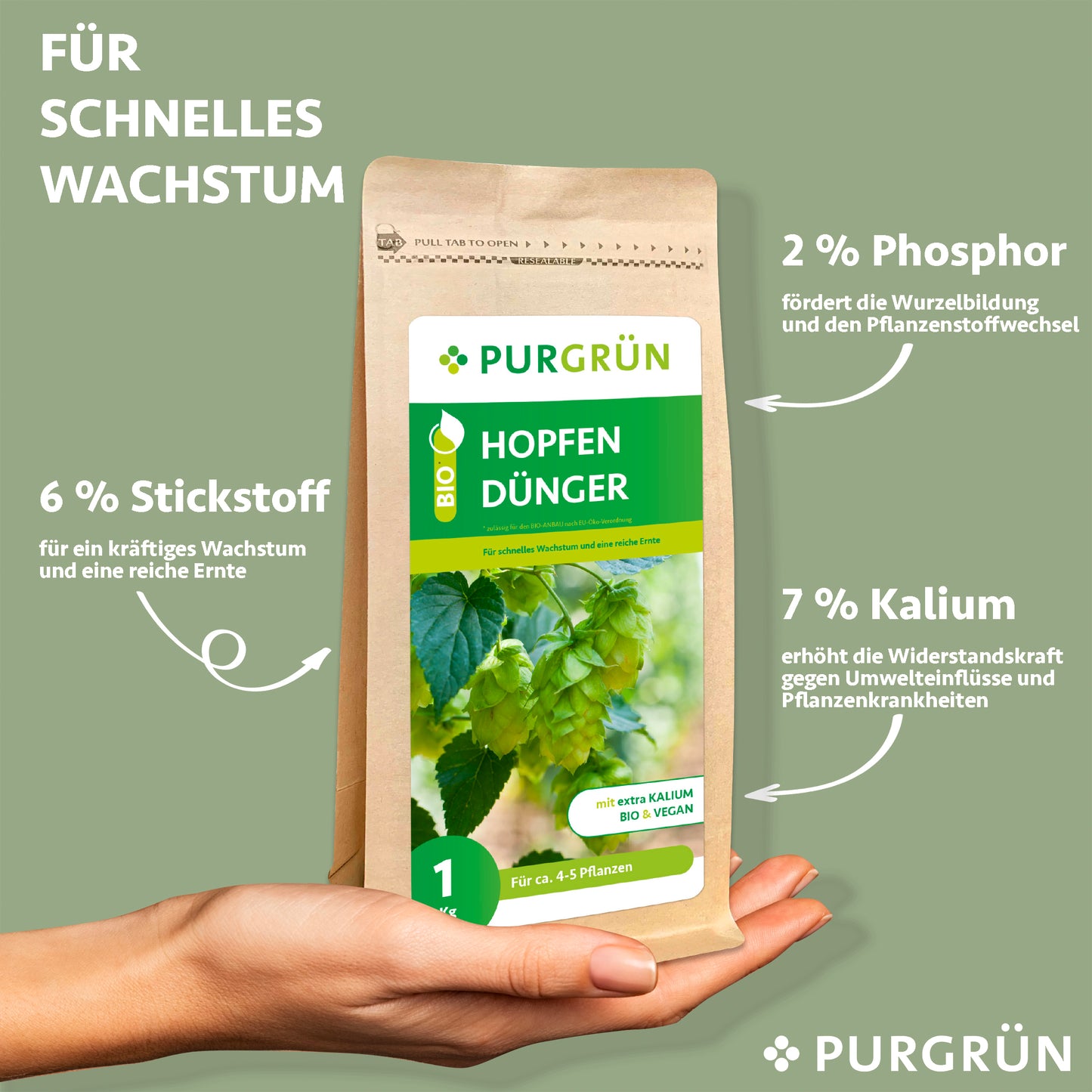 Eine Hand hält einen Purgrün Bio-Hopfen-Dünger 1 kg Beutel. Der Text hebt den Gehalt von 6 % Stickstoff, 2 % Phosphor und 7 % Kalium hervor, der für ein kräftiges Wachstum, eine bessere Wurzelentwicklung und eine verbesserte Widerstandsfähigkeit der Pflanzen sorgt.