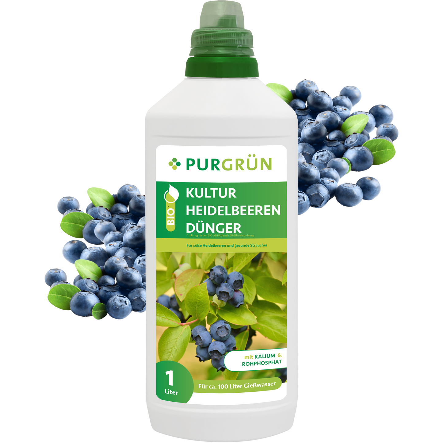 Eine 1-Liter-Flasche Purgrün Bio-Kulturheidelbeeren-Dünger mit grünem Verschluss steht inmitten von frischen Heidelbeeren und Blättern. Auf dem Etikett sind Blaubeeren, grüne Akzente und ein deutscher Text zu sehen, der für die Verwendung als Dünger für Kulturheidelbeeren wirbt.