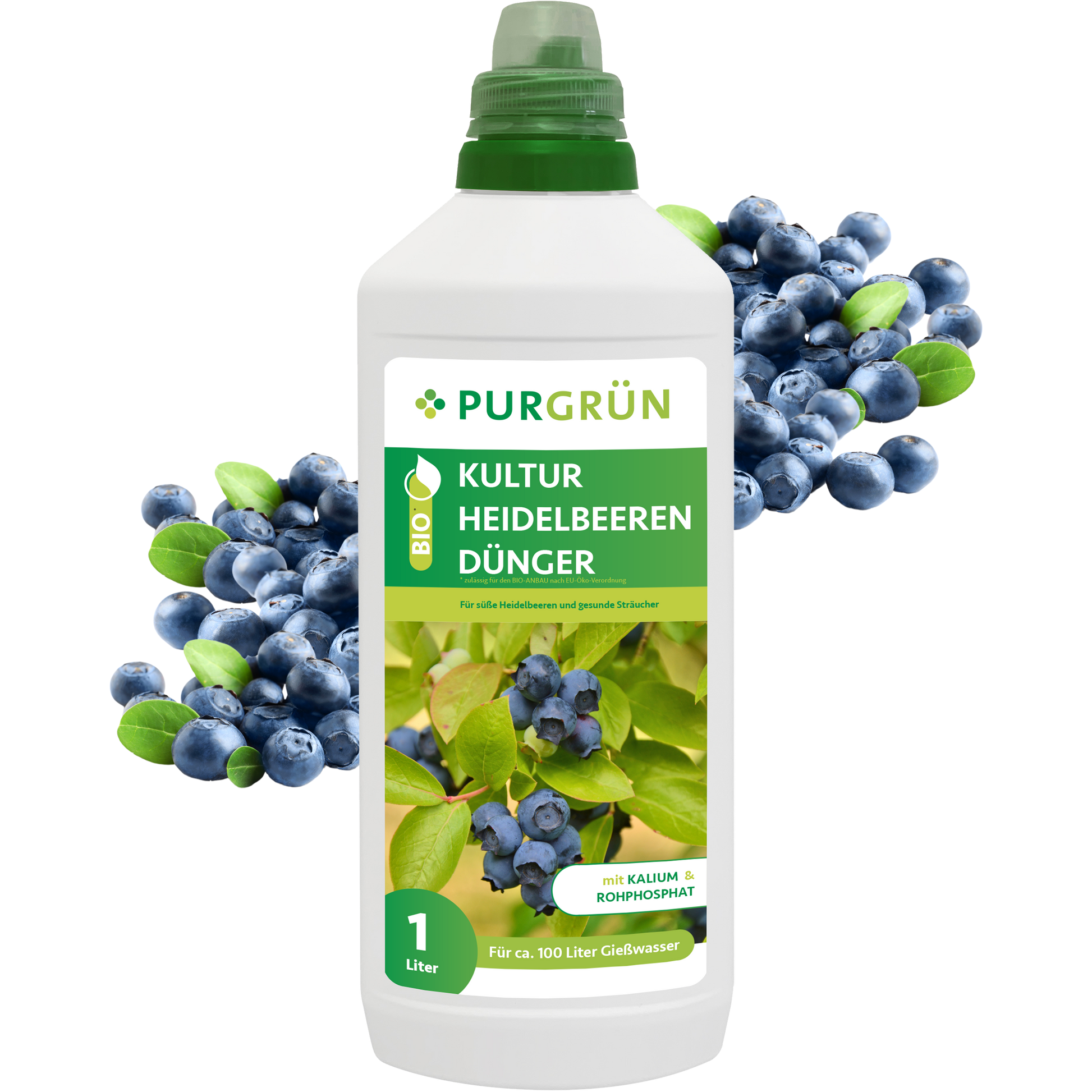 Eine 1-Liter-Flasche Purgrün Bio-Kulturheidelbeeren-Dünger mit grünem Verschluss steht inmitten von frischen Heidelbeeren und Blättern. Auf dem Etikett sind Blaubeeren, grüne Akzente und ein deutscher Text zu sehen, der für die Verwendung als Dünger für Kulturheidelbeeren wirbt.