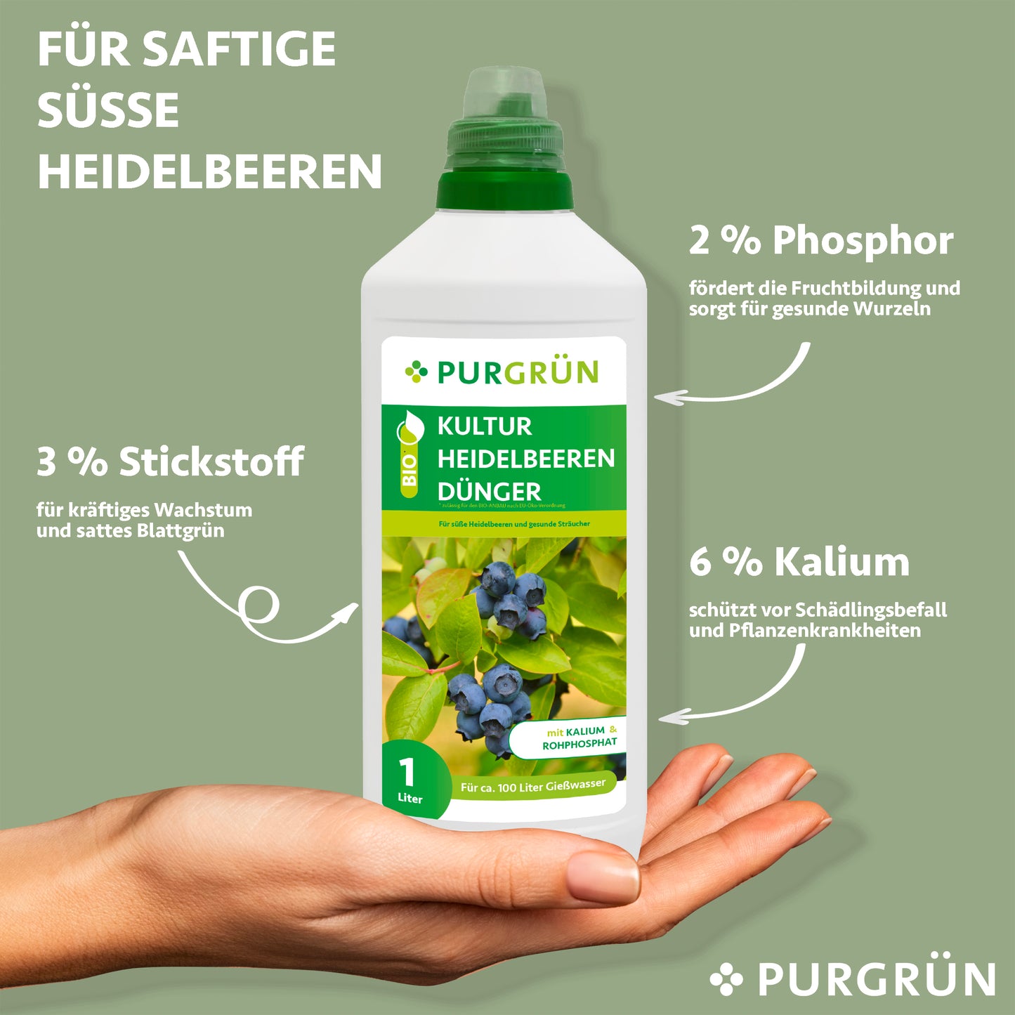 Eine Hand hält eine 1-Liter-Flasche Purgrün Bio-Kulturheidelbeeren-Dünger. Auf dem Etikett steht 3% Stickstoff für das Blattwachstum, 2% Phosphor für die Wurzeln und 6% Kalium für die Pflanzengesundheit. Auf dem Bild sind Blaubeeren und üppige Blätter zu sehen.
