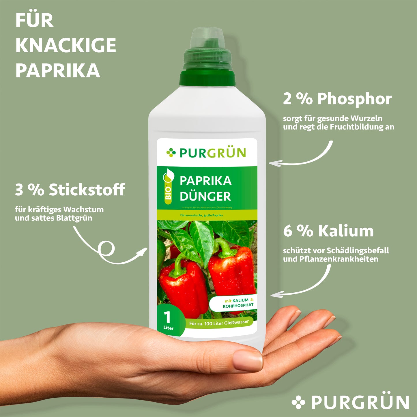 Eine Hand hält eine 1L Flasche Purgrün Bio-Paprika-Dünger. Der Text hebt hervor: 3% Stickstoff für Wachstum, 2% Phosphor für kräftige Wurzeln, 6% Kalium für Krankheitsschutz. Grüner Hintergrund mit sichtbaren Produkt- und Markenlogos.