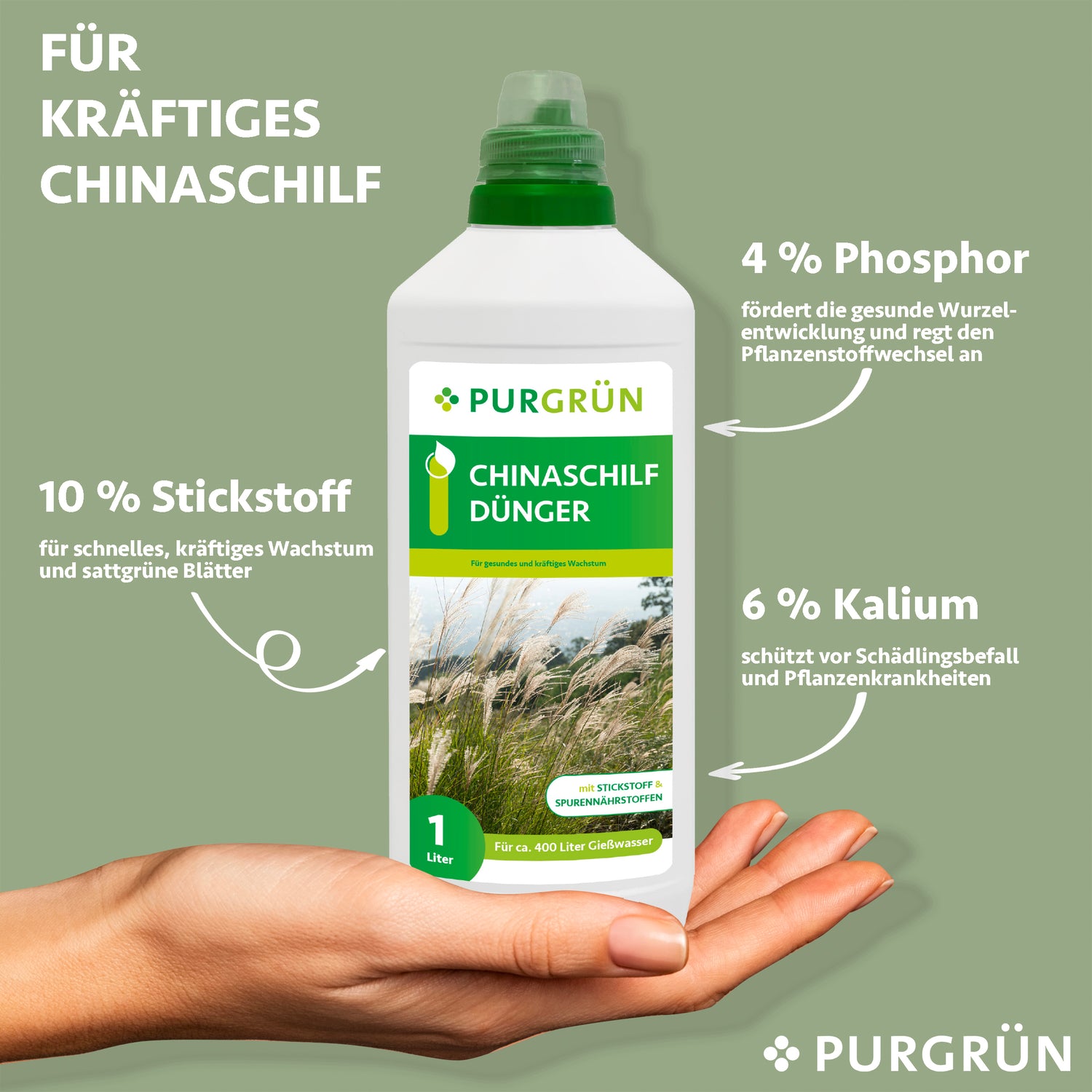 Eine Hand hält eine 1-Liter-Flasche Purgrün Chinaschilf-Dünger, einen stickstoffreichen Dünger (10 % N, 4 % P, 6 % K) für kräftiges Chinagraswachstum. Auf dem grünen Hintergrund ist ein weißer Text zu sehen, der seine Vorteile hervorhebt.