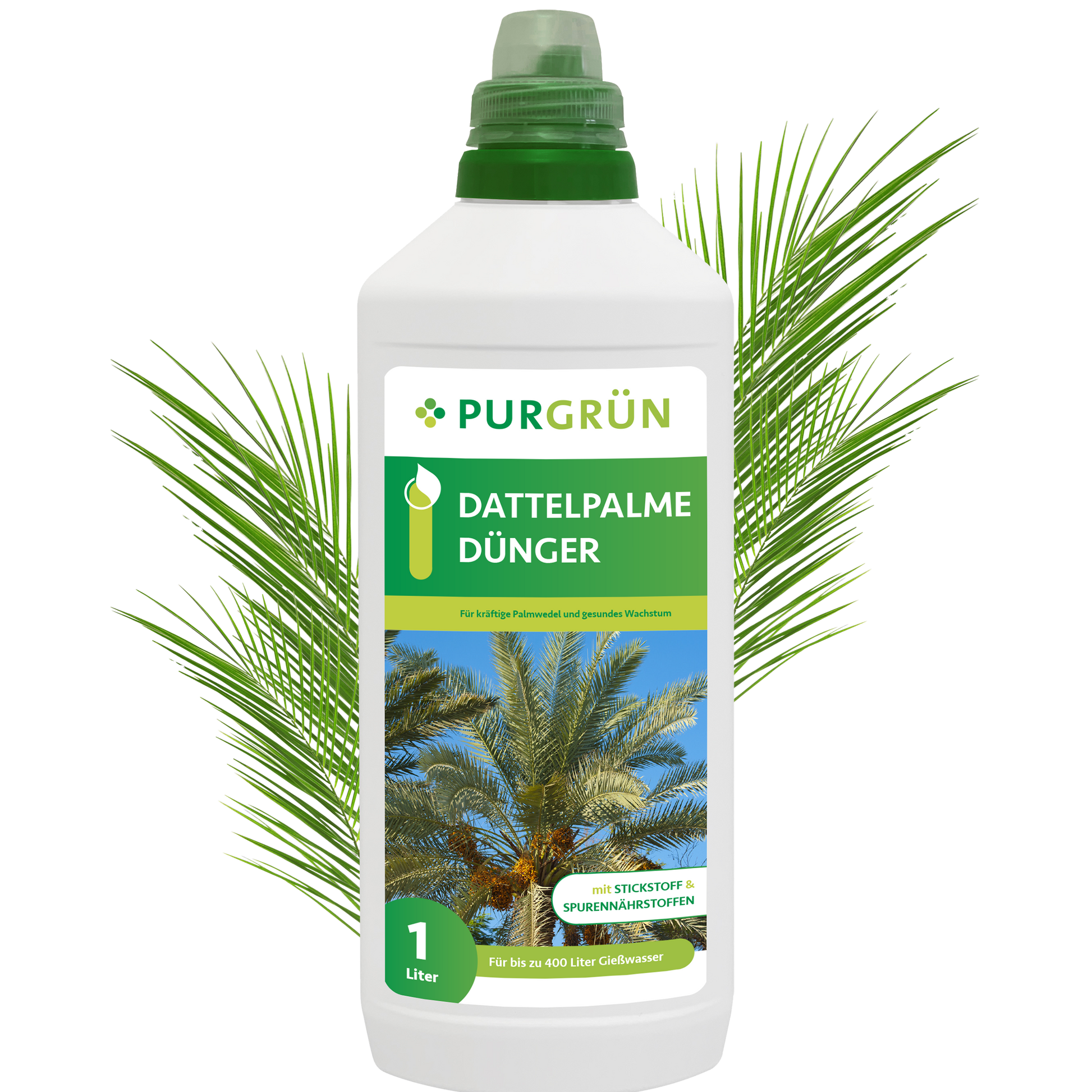 Eine weiße 1-Liter-Flasche Purgrün Dattelpalme-Dünger mit grünem Deckel zeigt ein Dattelpalmenbild und grüne Palmblätter und unterstreicht damit die Unterstützung eines gesunden Dattelpalmenwachstums.