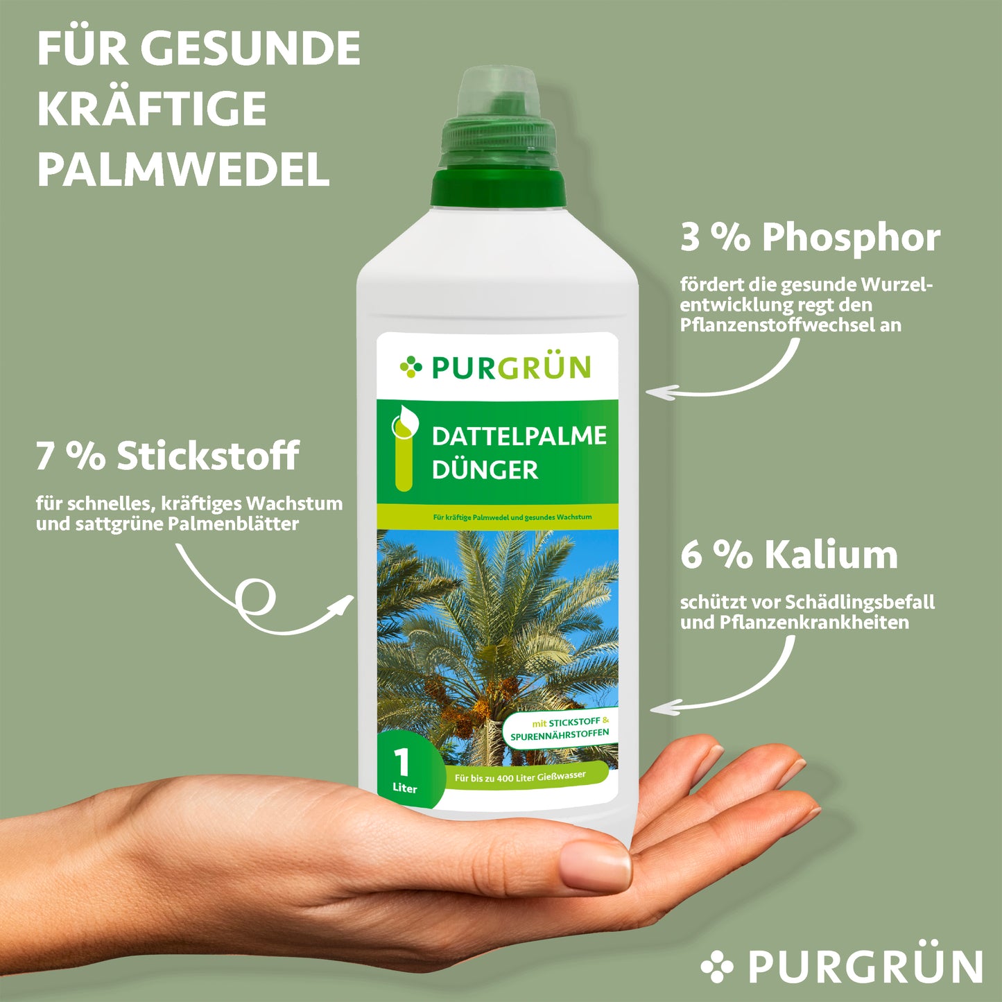 Eine Hand hält eine 1-Liter-Flasche Purgrün Dattelpalme-Dünger (7 % N, 3 % P, 6 % K), ideal für starkes Dattelpalmenwachstum, vor einem hellgrünen Hintergrund.
