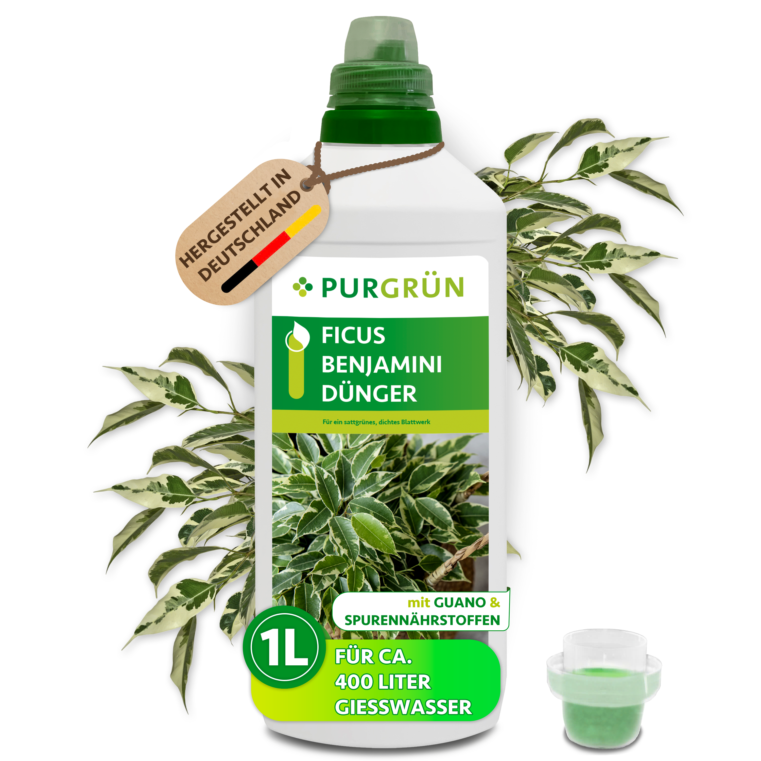 japanischer ahorn düngen mit blaukorn Japanischer Ahorn Dünger von Flora Boost für gesunde Fächerahorn-Pflanzen main image 1