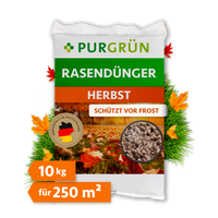 Purgrün Herbstrasendünger im 10-kg-Sack für 250 m², mit Hinweis „Schützt vor Frost“ und herbstlichem Rasenmotiv.
