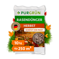 Purgrün Herbstrasendünger im 10-kg-Sack für 250 m², mit Hinweis „Schützt vor Frost“ und herbstlichem Rasenmotiv.