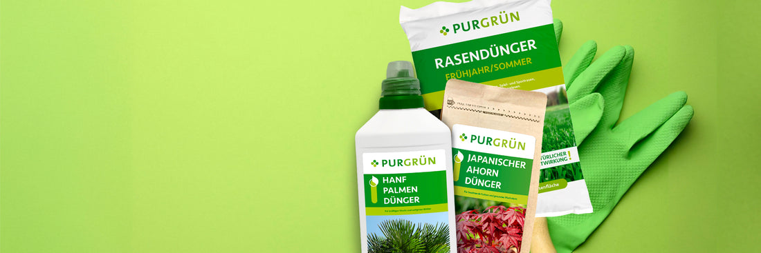 Drei Gartenprodukte von PURGRÜN – Flüssigdünger, granulierter Rasendünger und japanischer Ahorndünger – sind vor grünen Gartenhandschuhen auf hellgrünem Hintergrund angeordnet.
