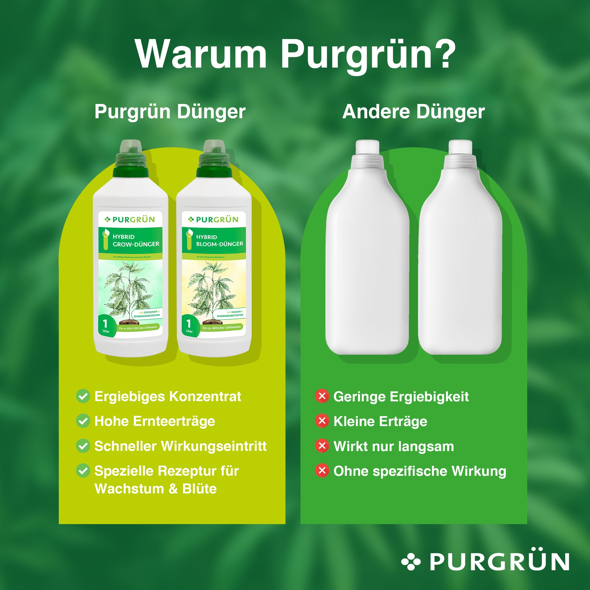 Eine Vergleichsgrafik zeigt links zwei Flaschen des Purgrün Hybrid-Dünger-Sets (2 x 1 Liter) mit Vorteilen für die Pflanzenentwicklung, während rechts zwei schlichte weiße Flaschen die Nachteile hervorheben und so die höhere Wirksamkeit und Ergiebigkeit von Purgrün im Vergleich zu anderen Marken betonen.