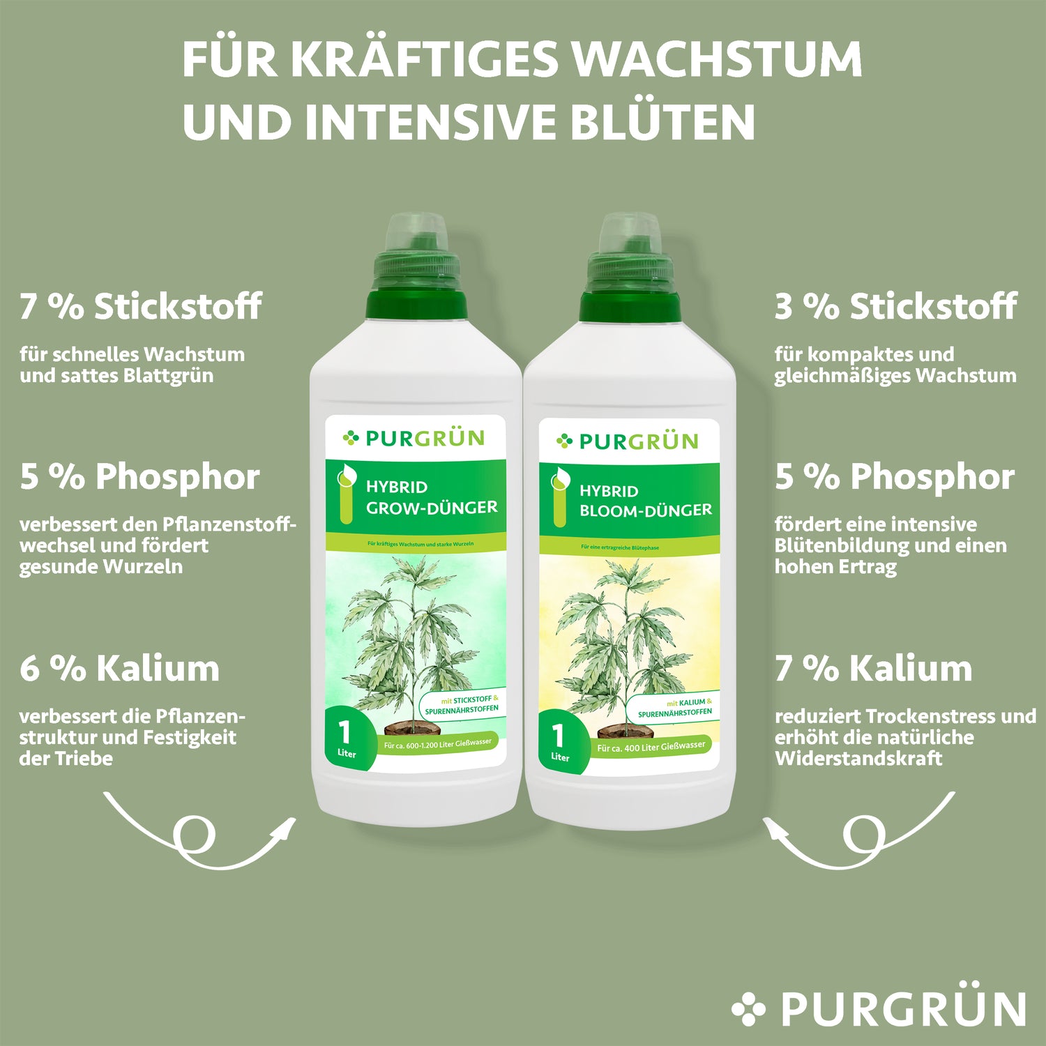 Zwei Flaschen Purgrün Hybrid-Dünger-Set 2 x 1 Liter werden mit Text angezeigt: 7% Stickstoff für Wachstum, 5% Phosphor für Wurzeln, 6% Kalium für Stärke – für optimale Pflanzenentwicklung und Blühphase. Grüner Hintergrund, weiße Schrift.