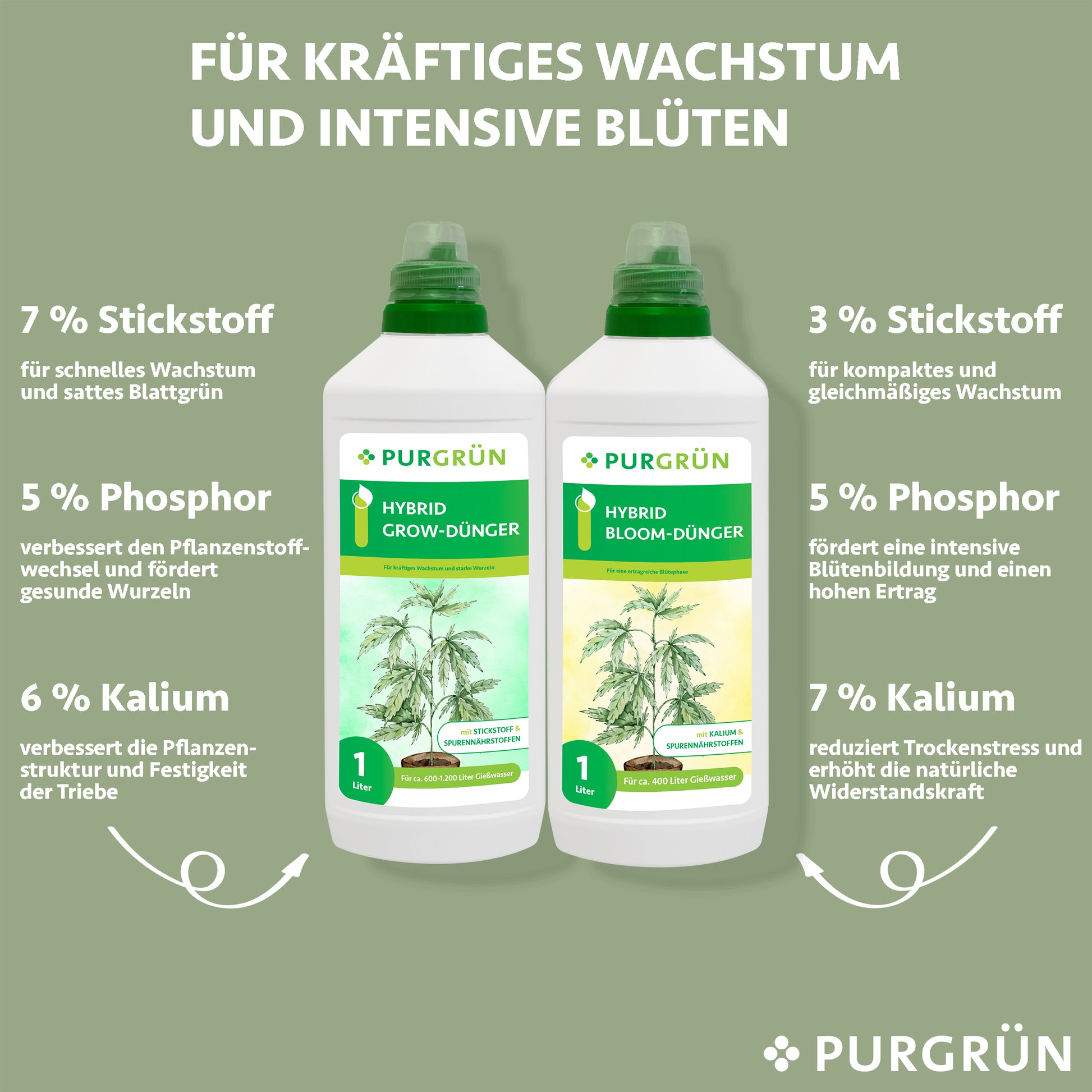 Zwei Flaschen Purgrün Hybrid-Dünger-Set 2 x 1 Liter werden mit Text angezeigt: 7% Stickstoff für Wachstum, 5% Phosphor für Wurzeln, 6% Kalium für Stärke – für optimale Pflanzenentwicklung und Blühphase. Grüner Hintergrund, weiße Schrift.