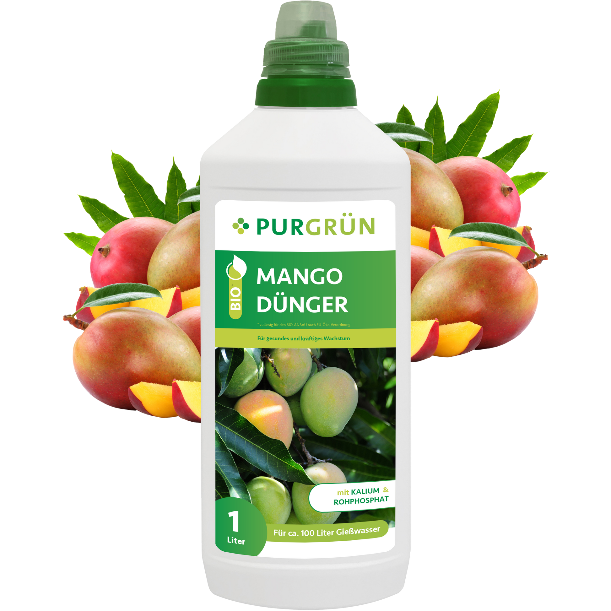 Eine Flasche Bio-Mango-Dünger 1Liter von Purgrün steht vor reifen, aufgeschnittenen Mangos mit grünen Blättern. Das Etikett zeigt eine grüne Mango am Baum – perfekt geeignet für den biologischen Landbau.