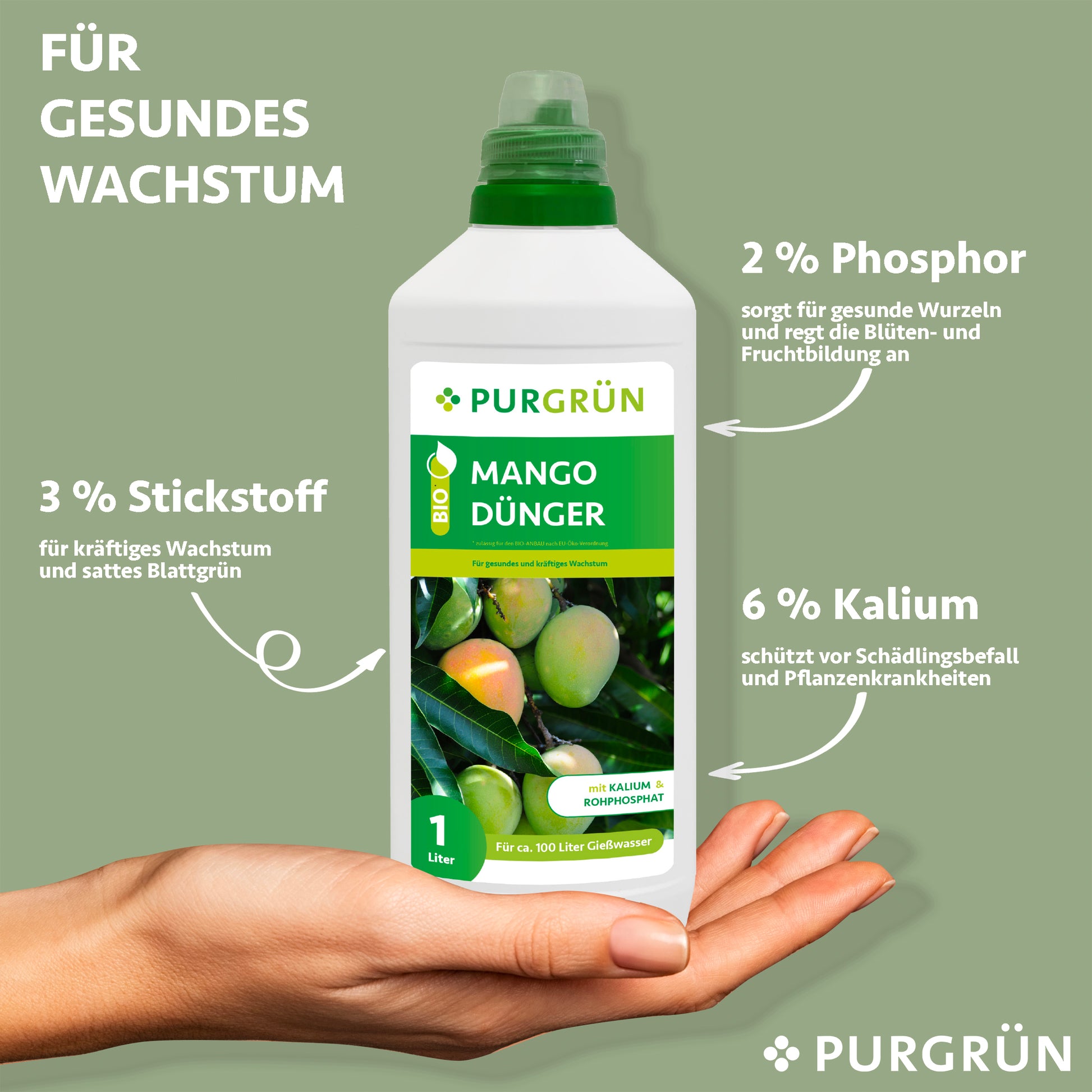 Eine Hand hält eine 1-Liter-Flasche Purgrün Bio-Mango-Dünger. Der Text hebt 3 % Stickstoff, 2 % Phosphor und 6 % Kalium für gesundes Wachstum, starke Wurzeln, Blüten und Pflanzenschutz hervor – ideal für den biologischen Landbau.