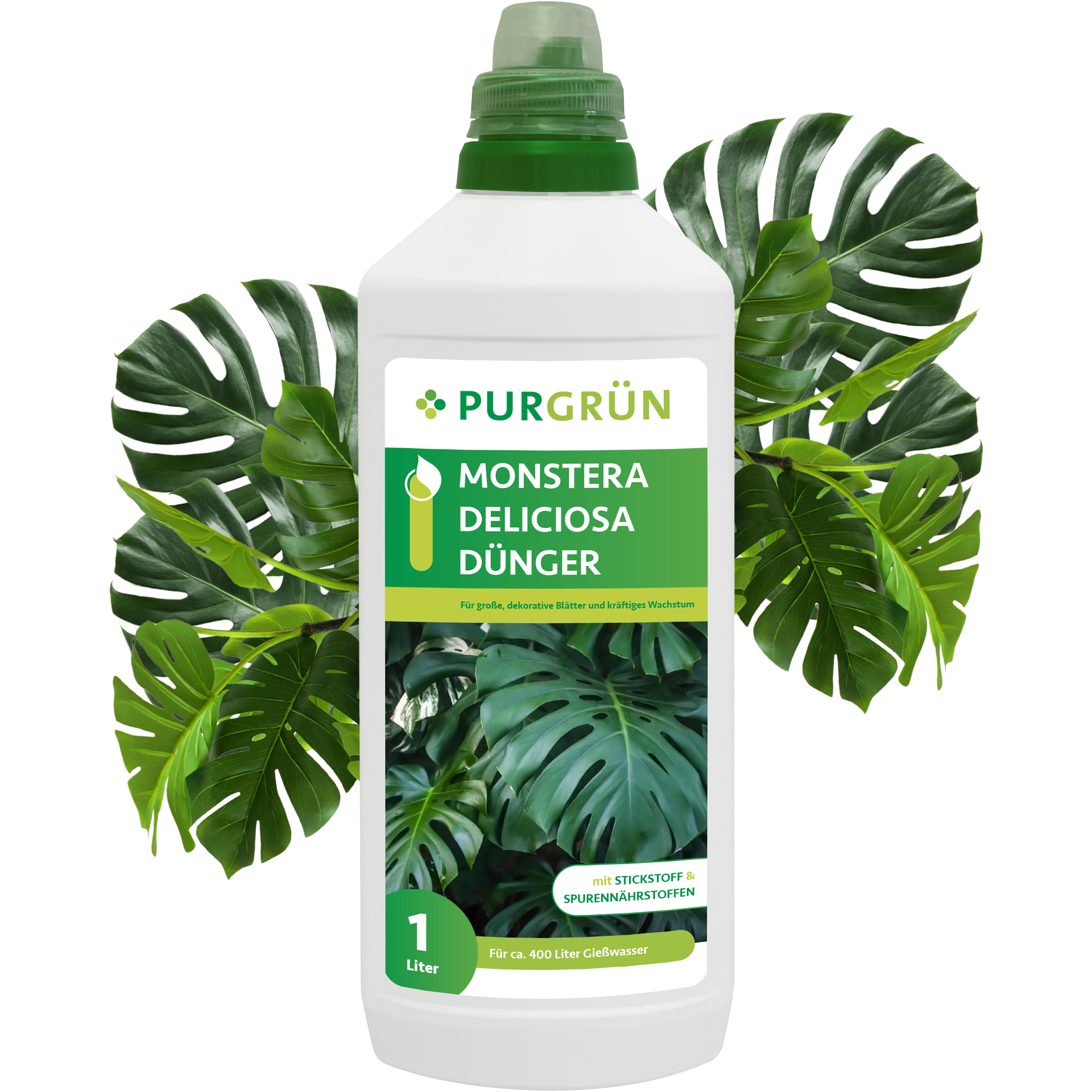 Monstera Dünger Hausmittel