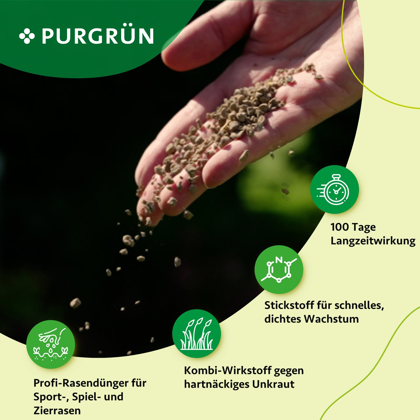 Eine Hand streut Purgrün Rasendünger mit Unkrautvernichter (5 kg) über den Rasen. Die Langzeitwirkung hält 100 Tage an und sorgt für schnelles, dichtes Wachstum und effektive Unkrautbekämpfung. Das Purgrün-Logo ist oben abgebildet.