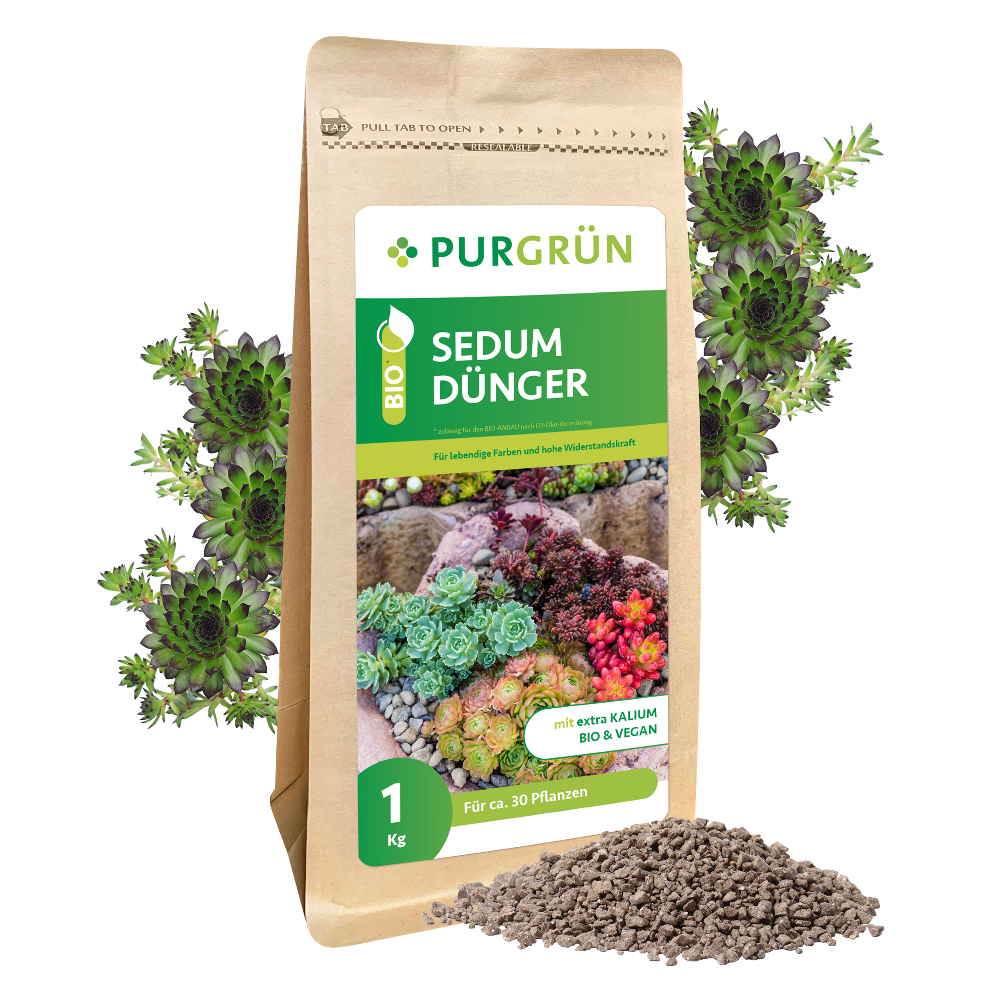 Ein 1 kg Beutel Purgrün Bio-Sedum-Dünger steht aufrecht mit Sedum-Pflanzen-Abbildungen auf dem Etikett. Vorne liegt der Granulatdünger, im Hintergrund sind grüne Sukkulenten zu sehen.