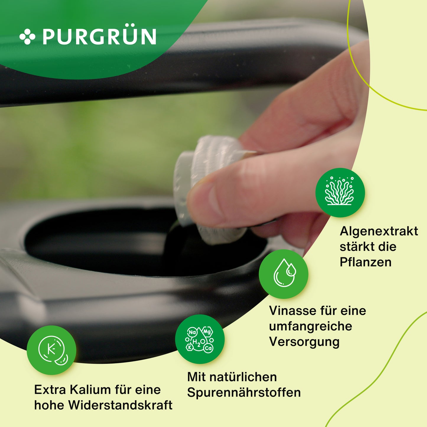 Eine Hand gießt Purgrün Bio-Petersilien-Dünger 1 Liter mit Vinasse und Algenextrakt aus einer kleinen Flasche in eine schwarze Gießkanne. Text betont optimale Nährstoffversorgung und natürliche Spurenelemente für Pflanzen. Logo oben Links.