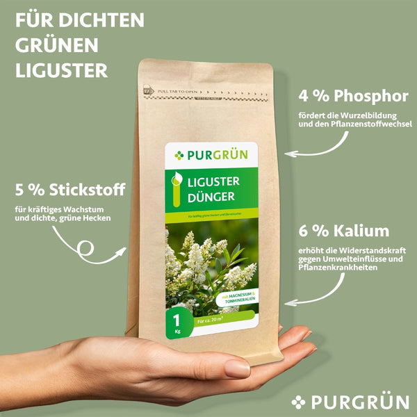 Liguster-Dünger 1 kg - Purgrün