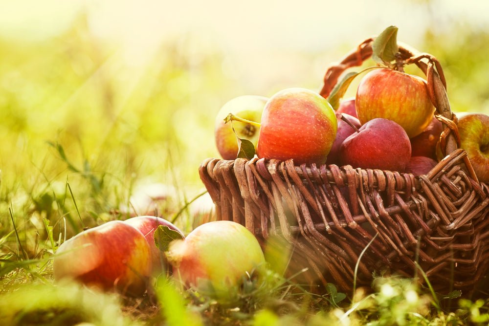 Obstdünger - Purgrün
