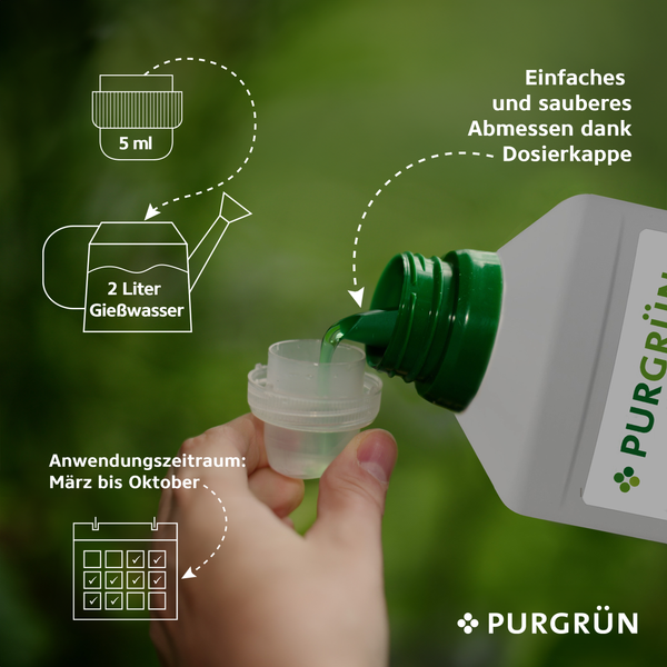 Philodendron-Dünger 1 Liter