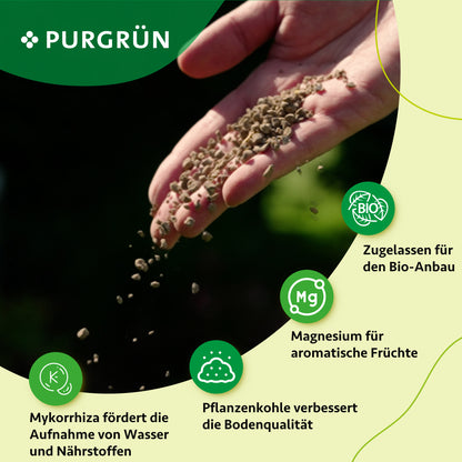 Bio-Aprikosenbaum-Dünger 1 kg