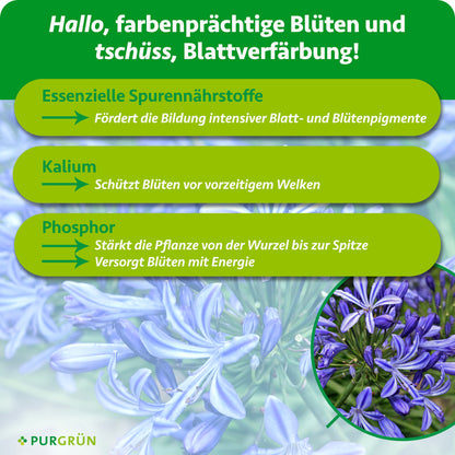 Agapanthus-Dünger 1 Liter