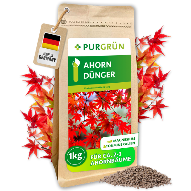 Purgrün Ahorn-Dünger im 1-kg-Beutel mit Magnesium und Tonmineralien, umgeben von roten Ahornblättern und Granulat.