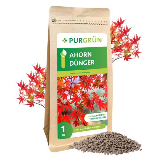 Ein brauner 1 kg-Sack Purgrün Ahorn-Dünger für Ahornbäume, mit roten Ahornblättern im Hintergrund und grauem Granulat im Vordergrund. Das Etikett hebt den Zusatz von Magnesium und Spurenelementen hervor.
