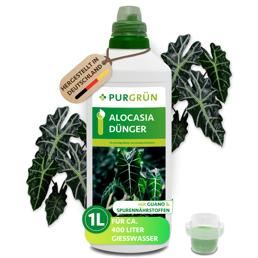Alocasia-Dünger 1 Liter