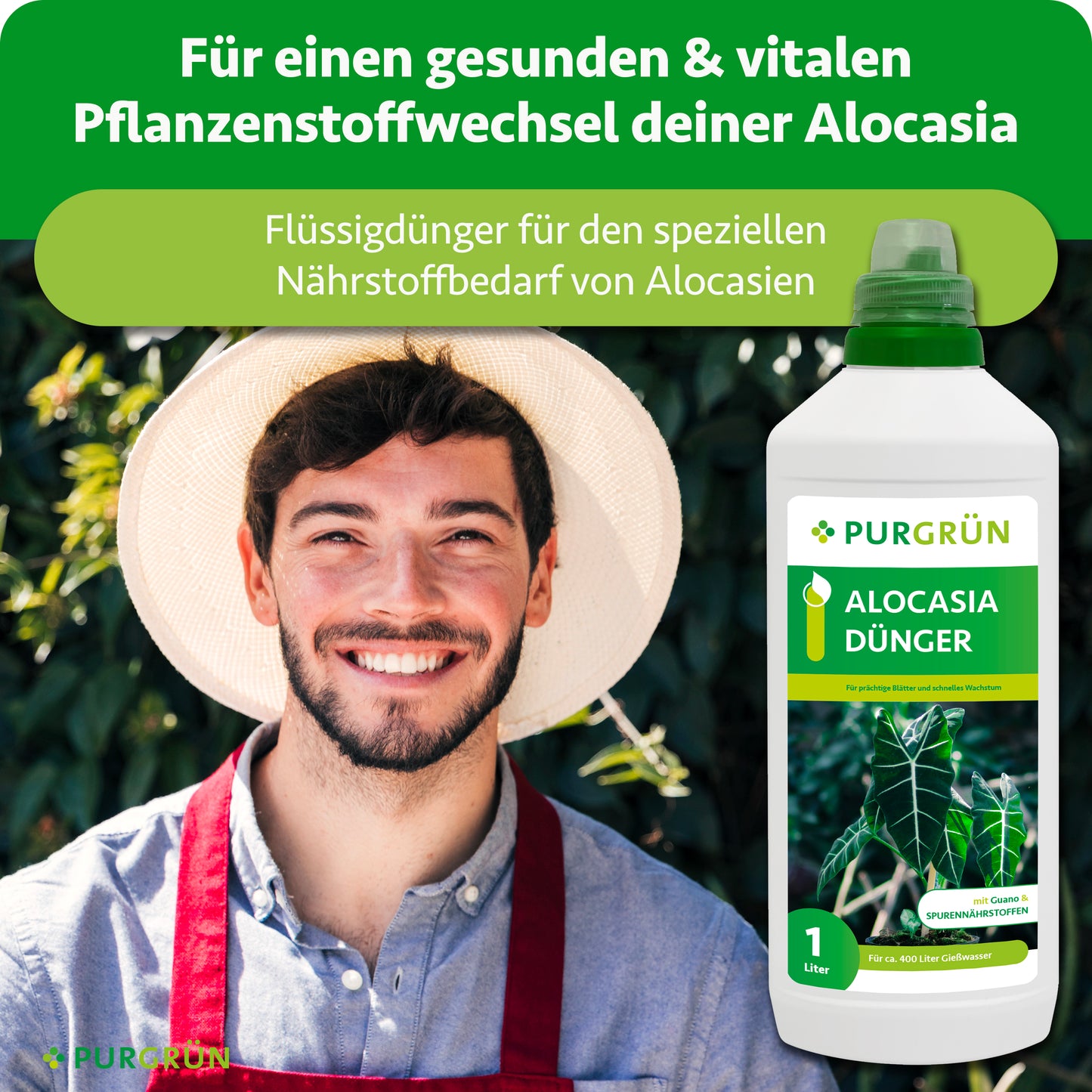Alocasia-Dünger 1 Liter