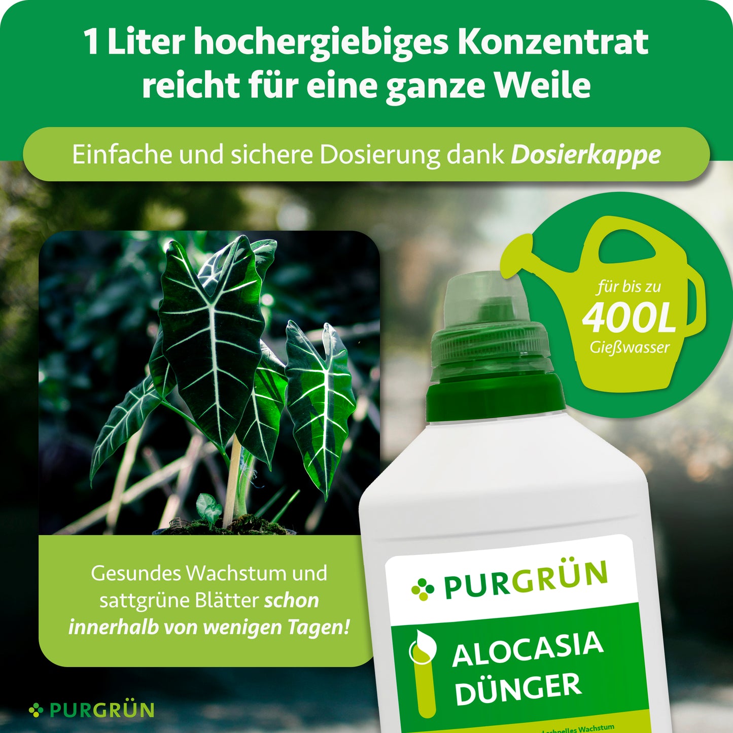 Alocasia-Dünger 1 Liter