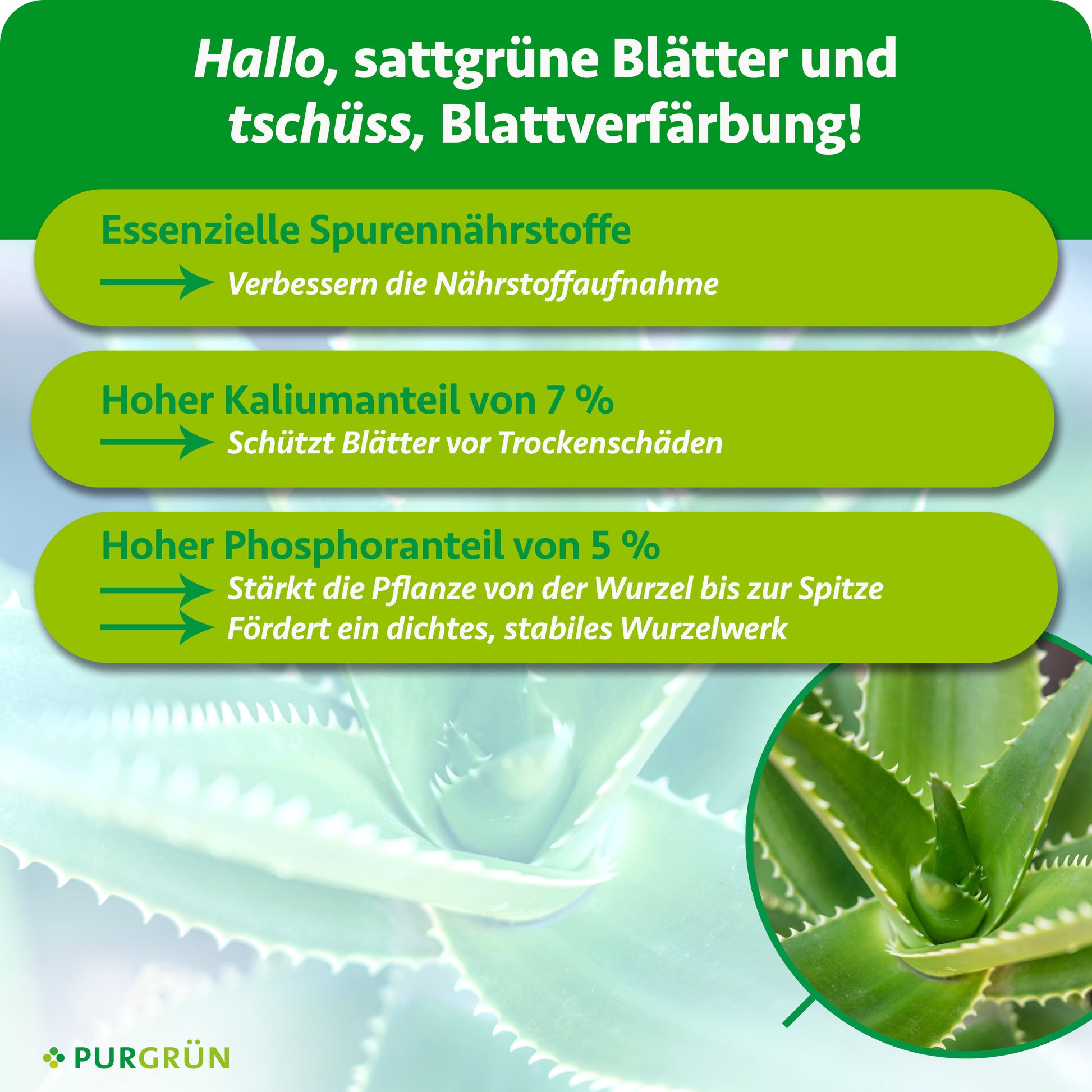 Purgrün Aloe-Vera-Dünger 1 Liter