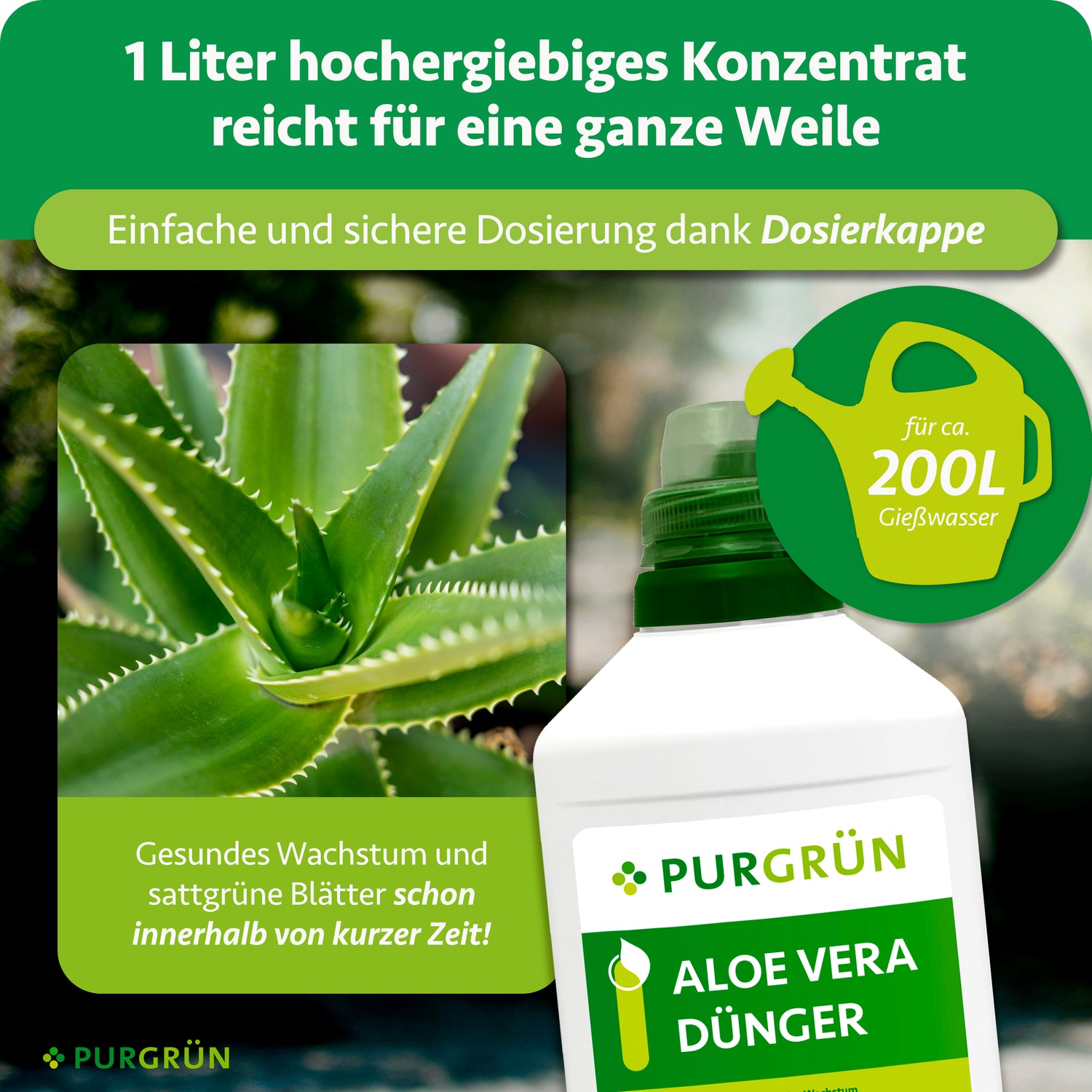 Purgrün Aloe-Vera-Dünger 1 Liter