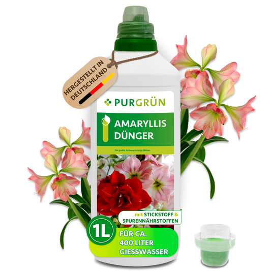 Amaryllis-Dünger 1 Liter