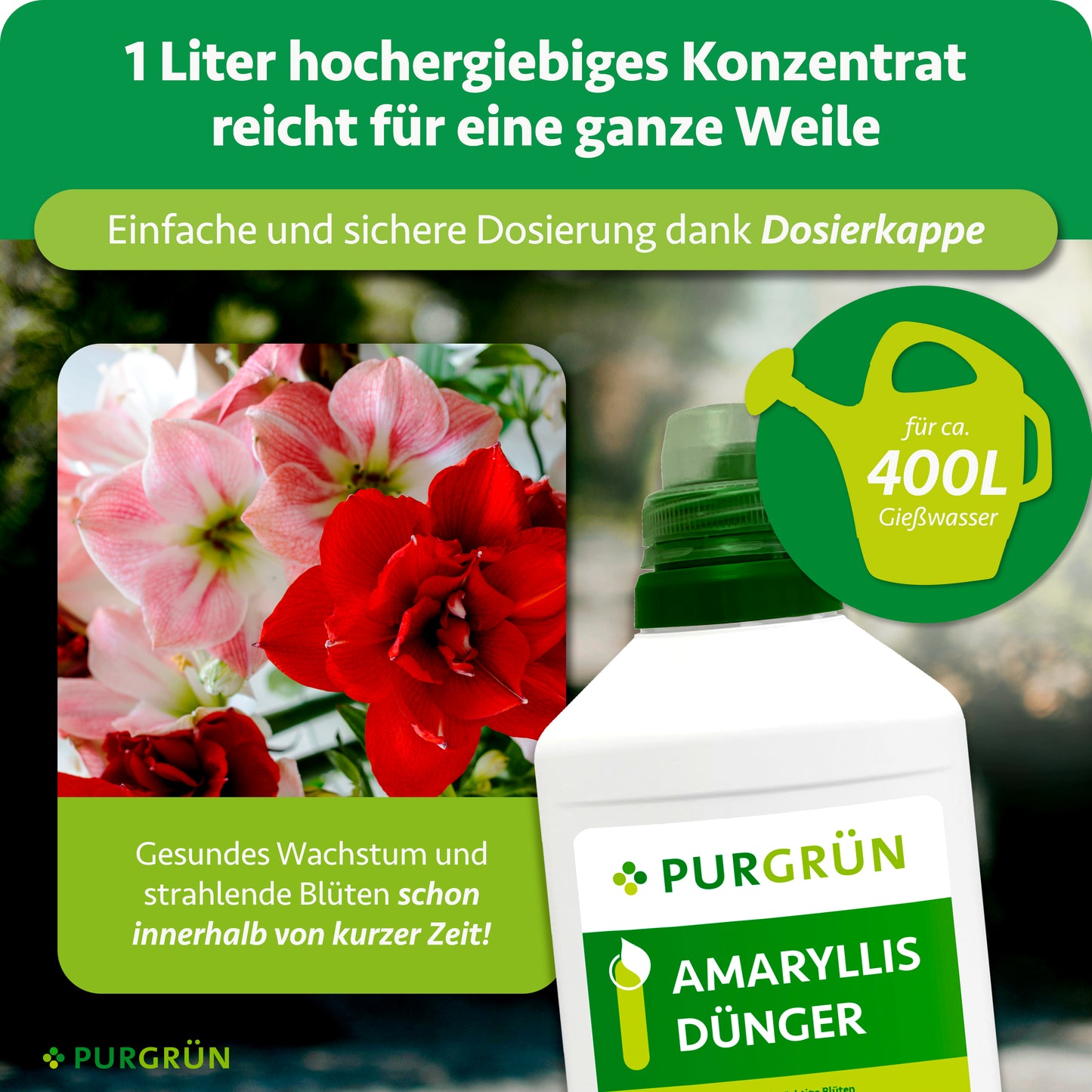 Amaryllis-Dünger 1 Liter