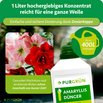 Amaryllis-Dünger 1 Liter