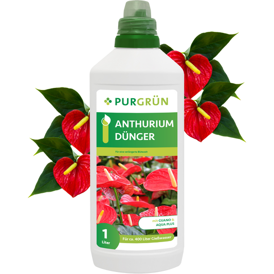 Anthurium-Dünger 1 Liter