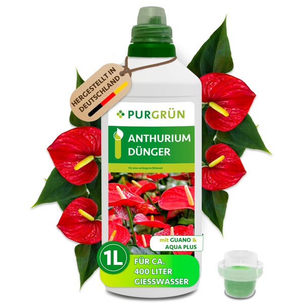flamingoblume dünger Purgrün Anthurium-Dünger 1 Liter