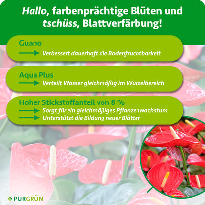 Purgrün Anthurium-Dünger 1 Liter