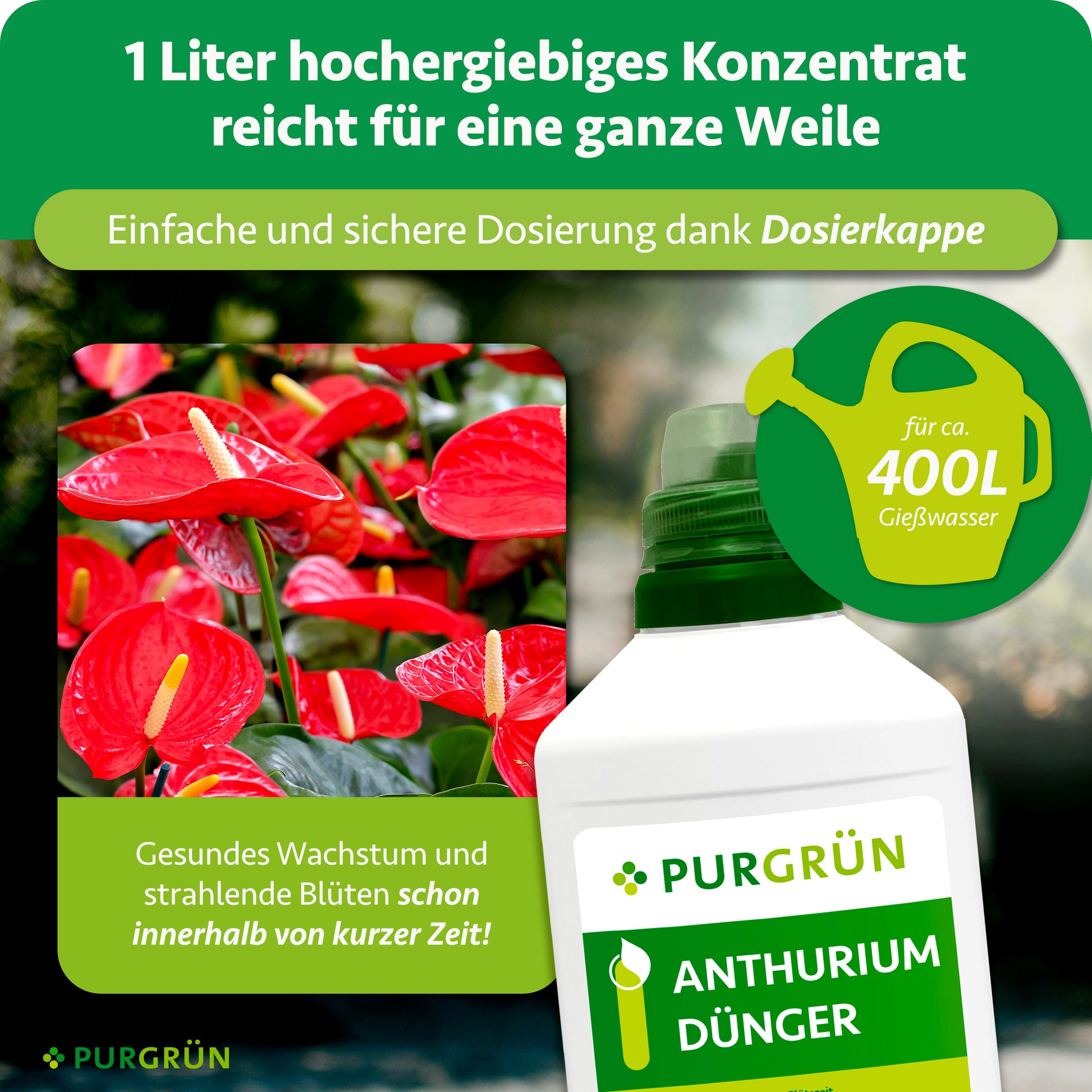 Purgrün Anthurium-Dünger 1 Liter