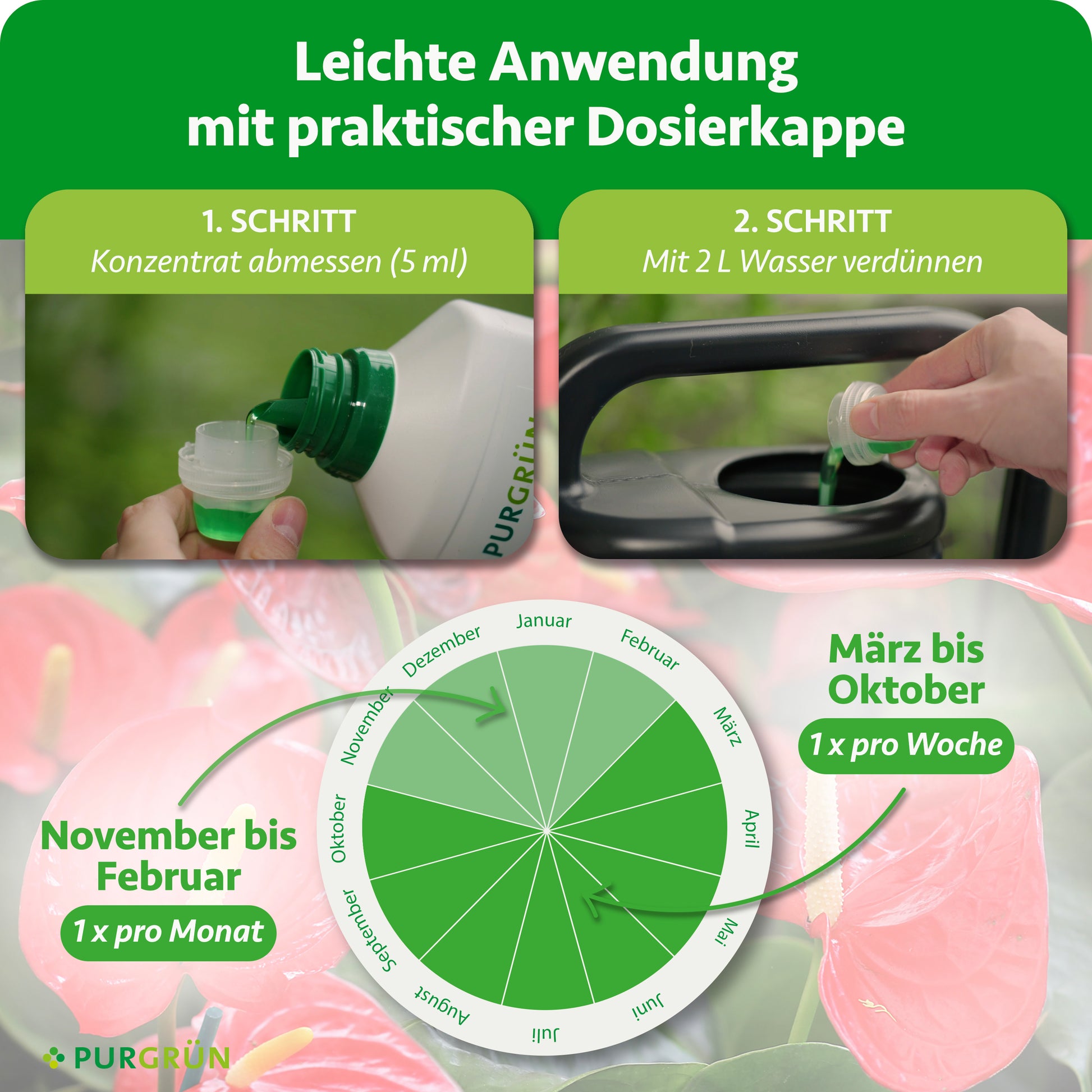 Purgrn Anthurium-Dnger 1 Liter