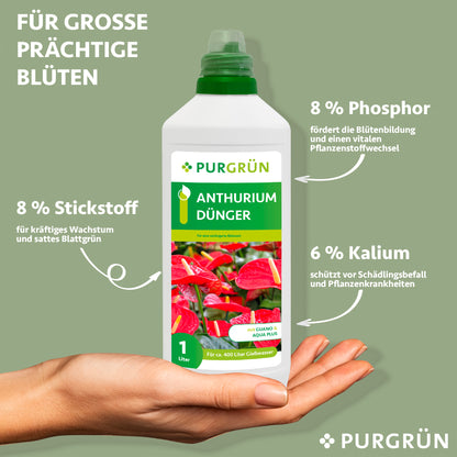 Anthurium-Dünger 1 Liter