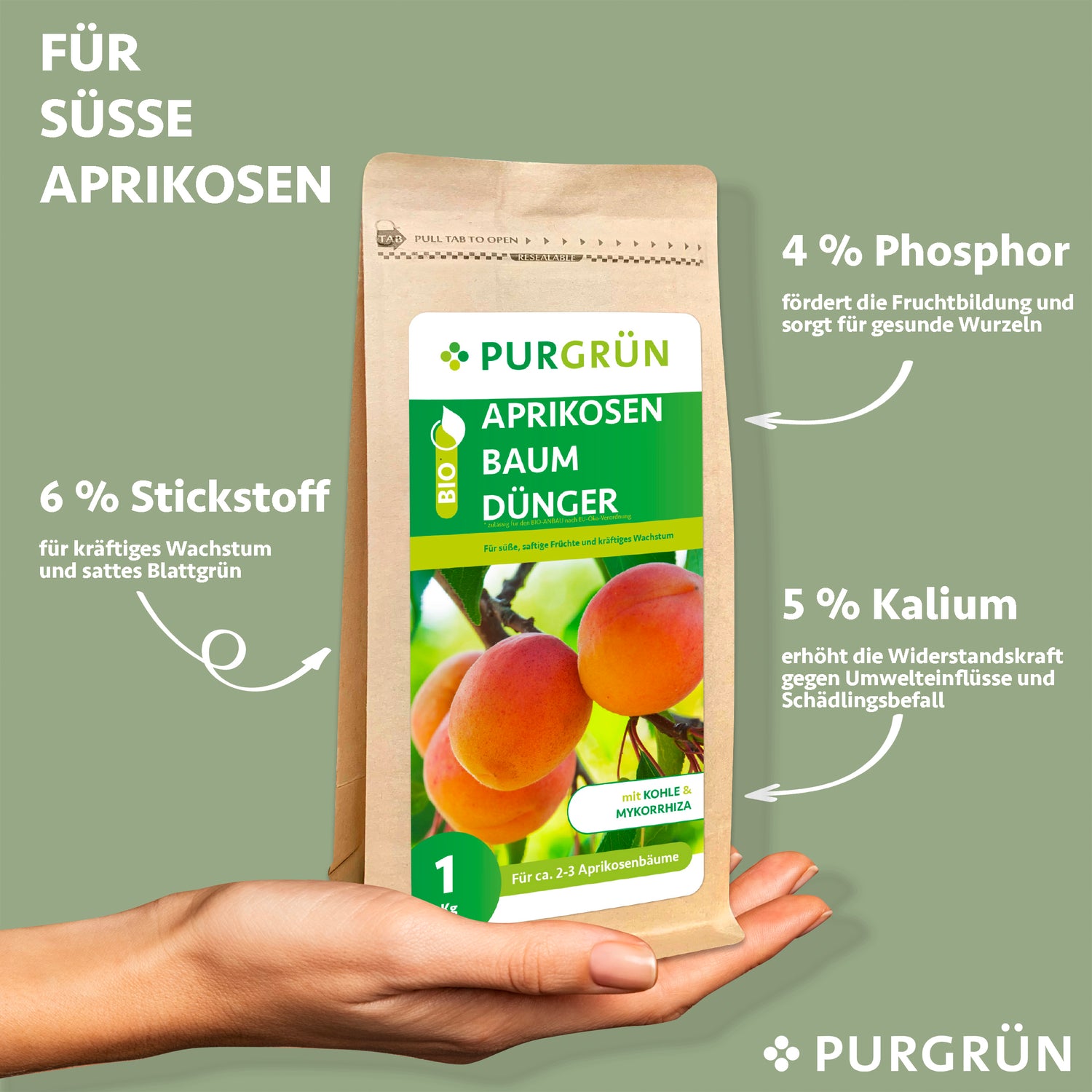 Eine Hand hält einen 1-kg-Beutel Purgrün Bio-Aprikosenbaum-Dünger. Auf der Verpackung sind Aprikosen abgebildet und die Nährstoffe hervorgehoben: 6 % Stickstoff für das Blattwachstum, 4 % Phosphor für die Fruchtbildung und 5 % Kalium für die Widerstandskraft der Pflanze.